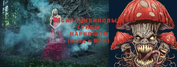 ECSTASY Володарск