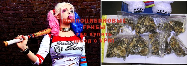 гашик Волоколамск